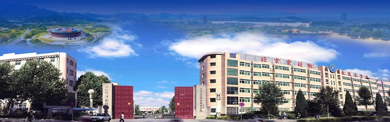 贝博艾弗森代言体育官网2025届毕业生推介